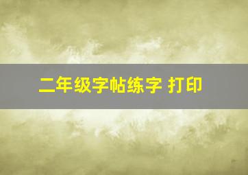 二年级字帖练字 打印